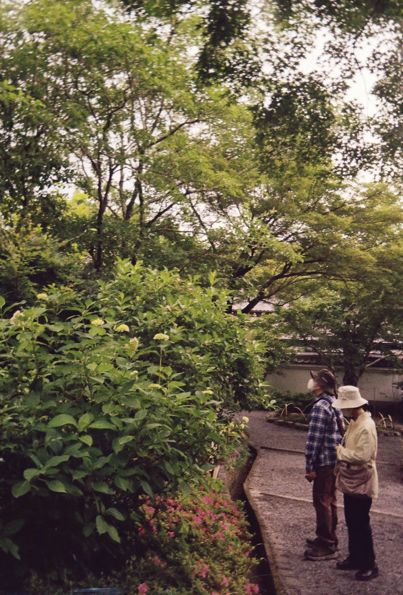 Japan on Film 2025 — photo 4